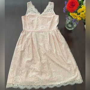 Weddington Way blush bridesmaid dress.